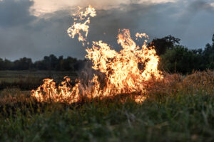 Burning of agricultural waste